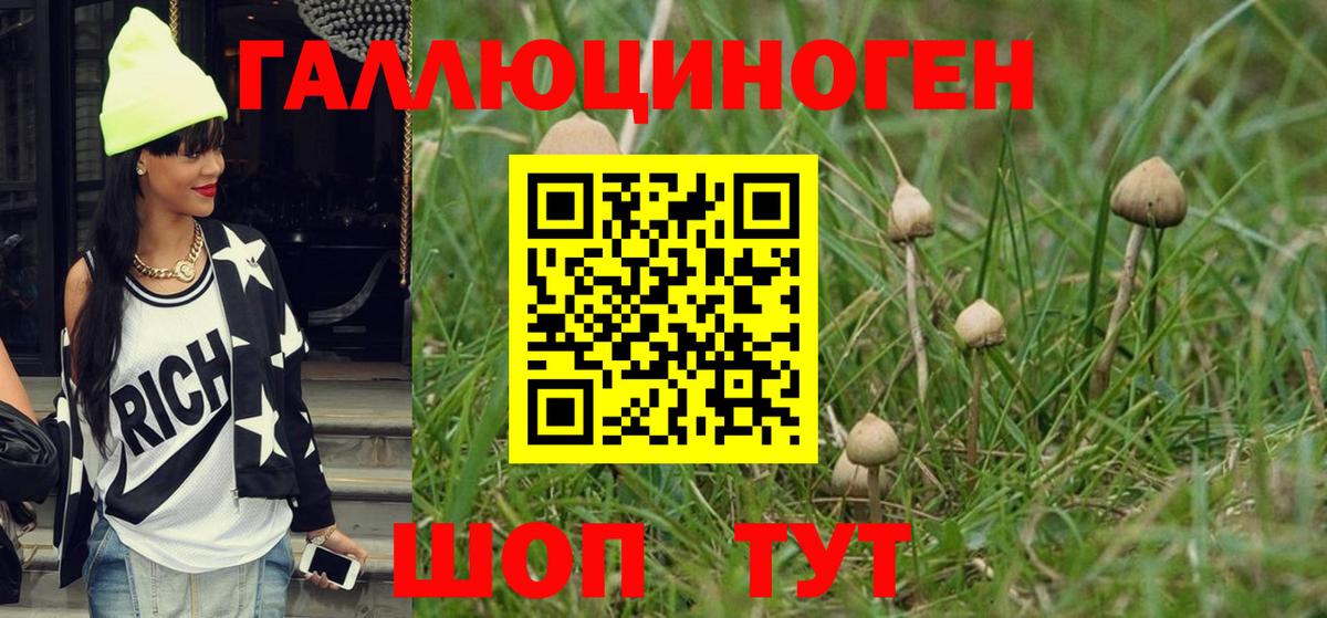 Галлюциногенные грибы GOLDEN TEACHER  Вход с VPN  Галлюциногенные грибы MAGIC MUSHROOMS  Арсеньев 
